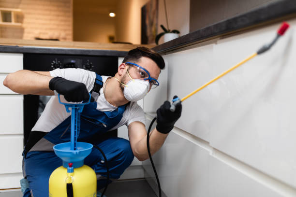 Best Local Pest Control Services  in Charenton, LA