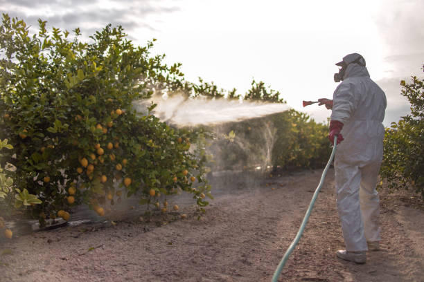 Best Mosquito Control Services  in Charenton, LA