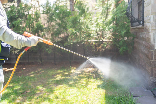 Best Local Pest Control Services  in Charenton, LA