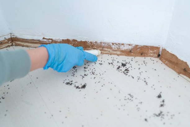 Best Pest Prevention Services  in Charenton, LA