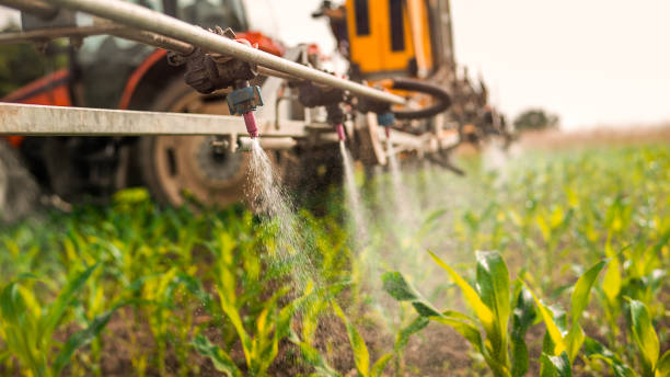 Pest Control Cost in Charenton, LA