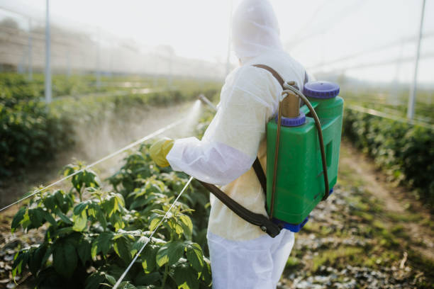Reliable Charenton, LA Pest Control Solutions